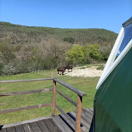 Glamping Dome Benzene Fonmourenne
