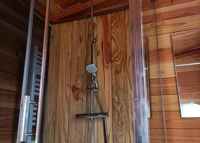 Glamping Dome Benzene