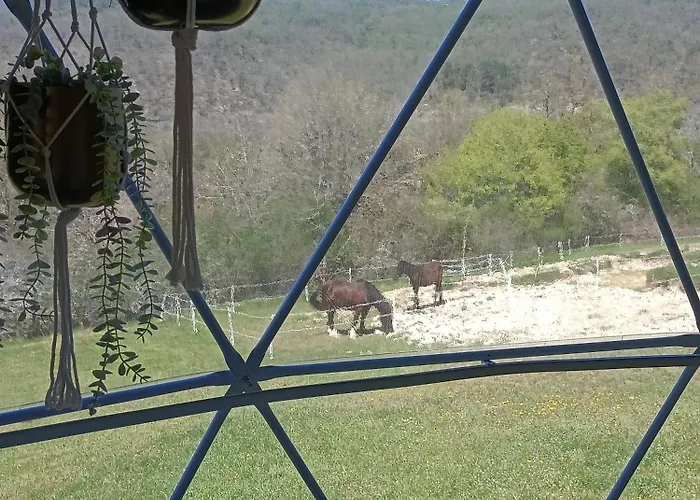 Glamping Dome Benzene Luksustelt Fonmourenne